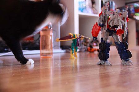 giant-cat-attacks-optimus-prime-home-animation