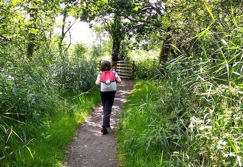 child walking in woodland